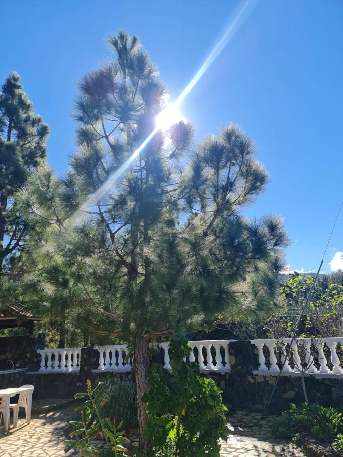 Vivienda Vacacional Luna El Paso Bagian luar foto
